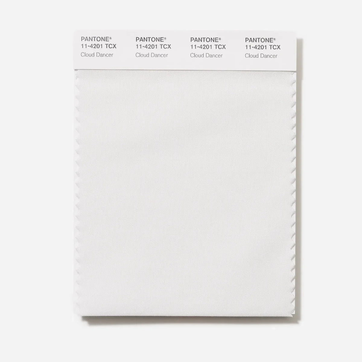 Pantone’s Cloud Dancer — the color of handwoven linen and quiet renewal