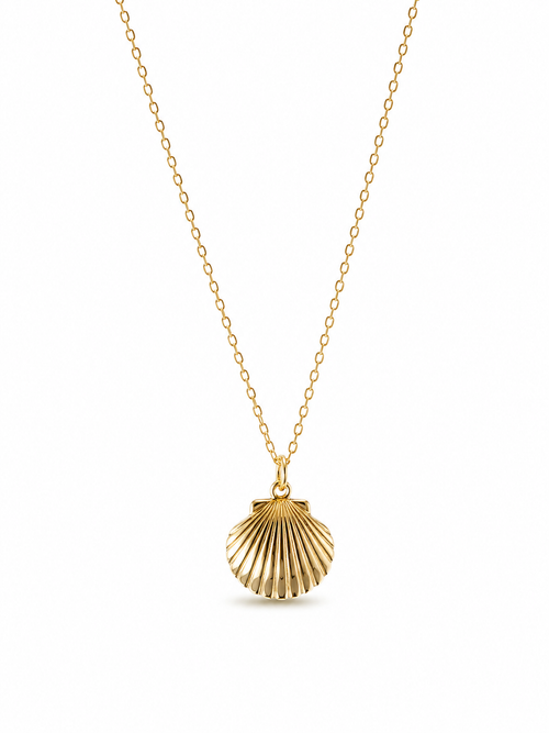 Gold necklace with a shell pendant on a white background