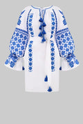 Zoryana Tunic in Blue