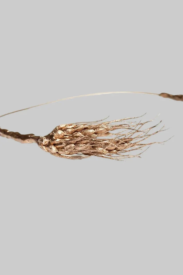 Katerini Mou Wheat Crown Standard